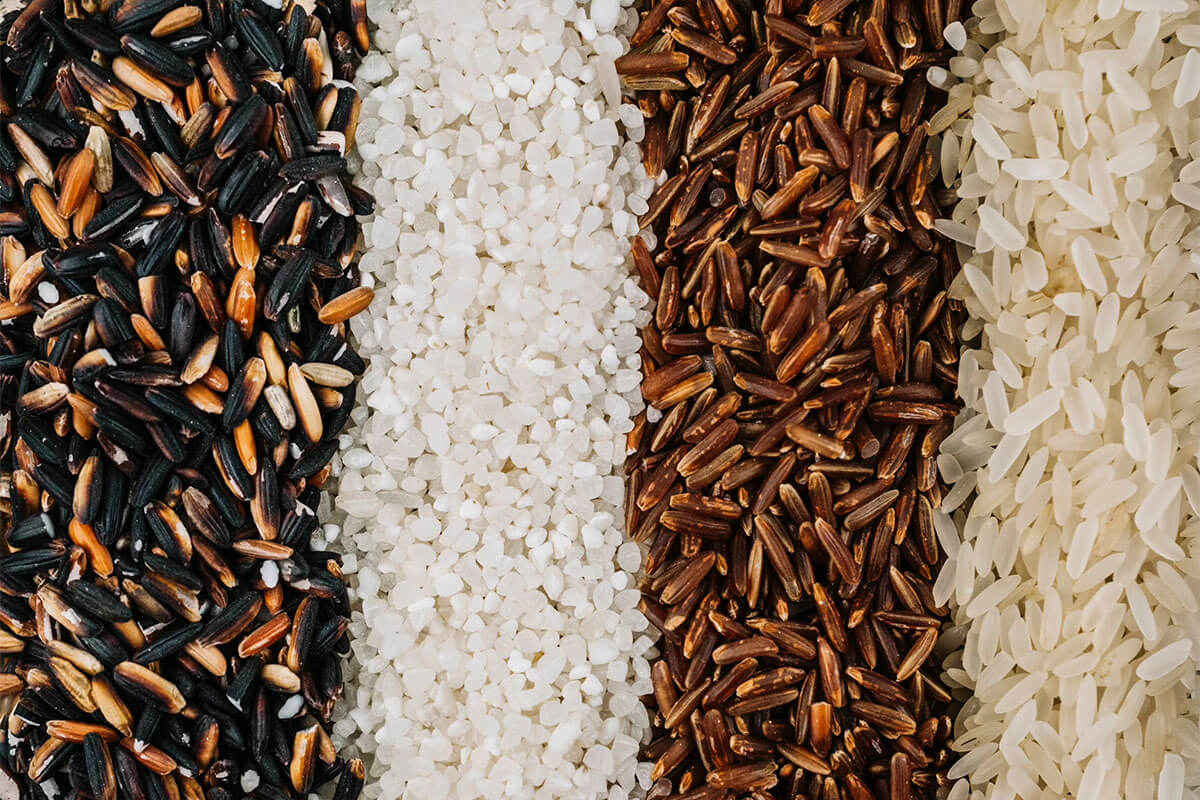 How to Cook Rice: 3 Steps to Success | Plated Asia Article